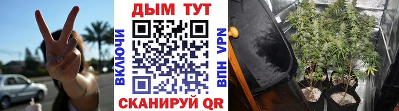 закладки  Уварово  Конопля VHQ 